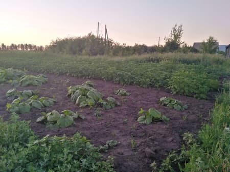 земля под ИЖС, 30 соток