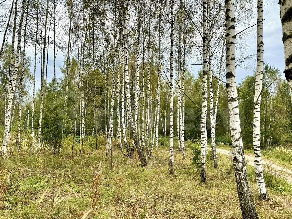 земля с/х назначения, 16 соток